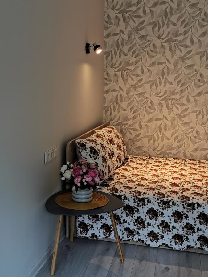 Upes Apartamentai Biržai Екстериор снимка