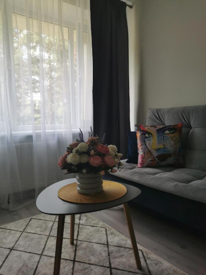 Upes Apartamentai Biržai Екстериор снимка
